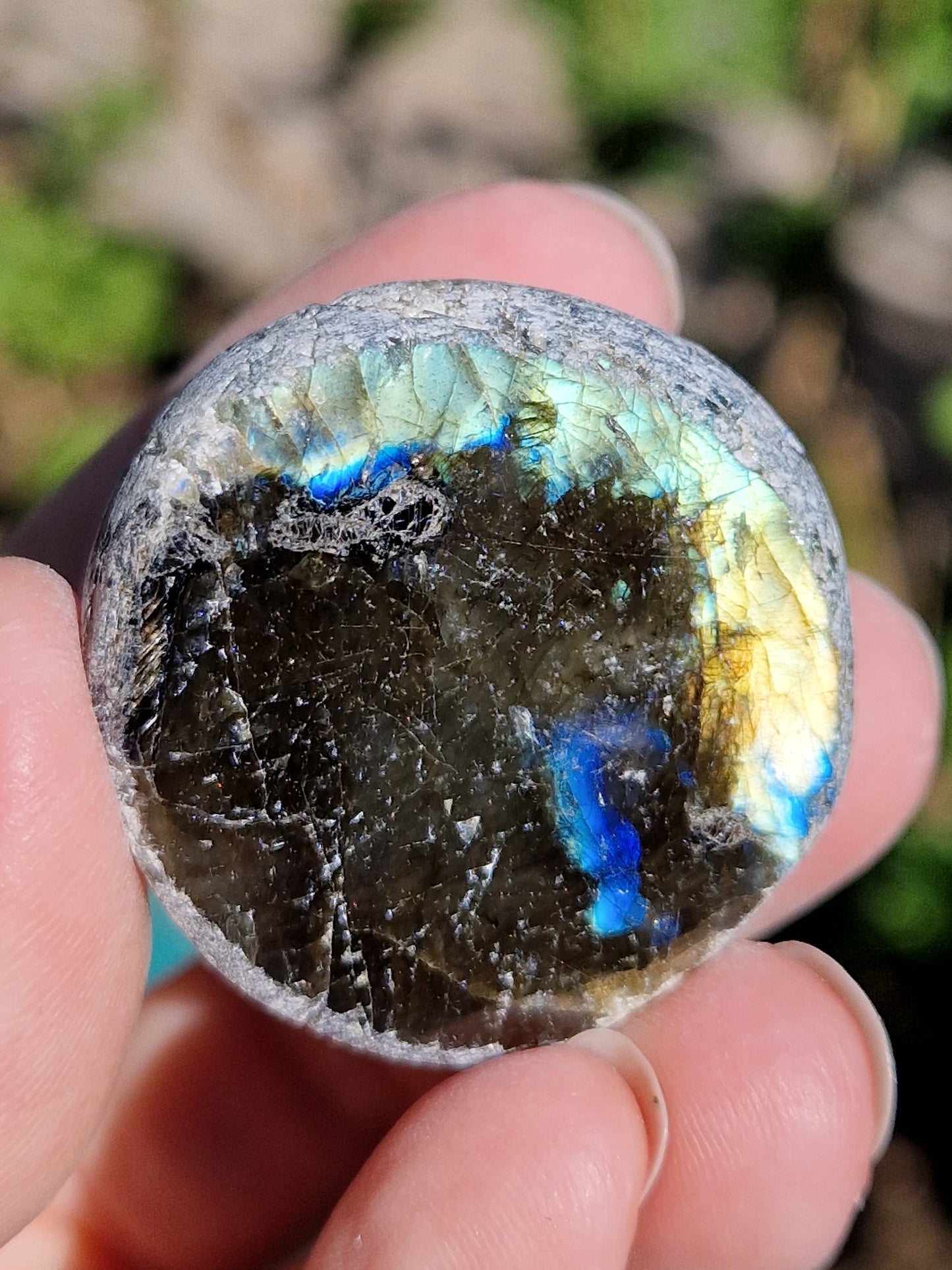 Demi sphère de Labradorite (à choisir)