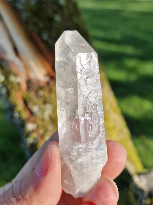 Quartz lémurien brut (à choisir)