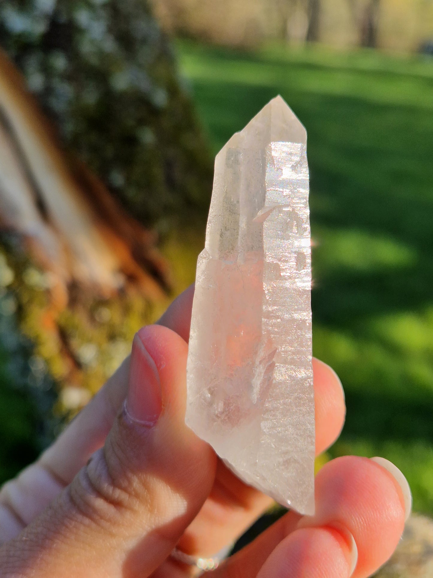 Quartz lémurien brut (à choisir)