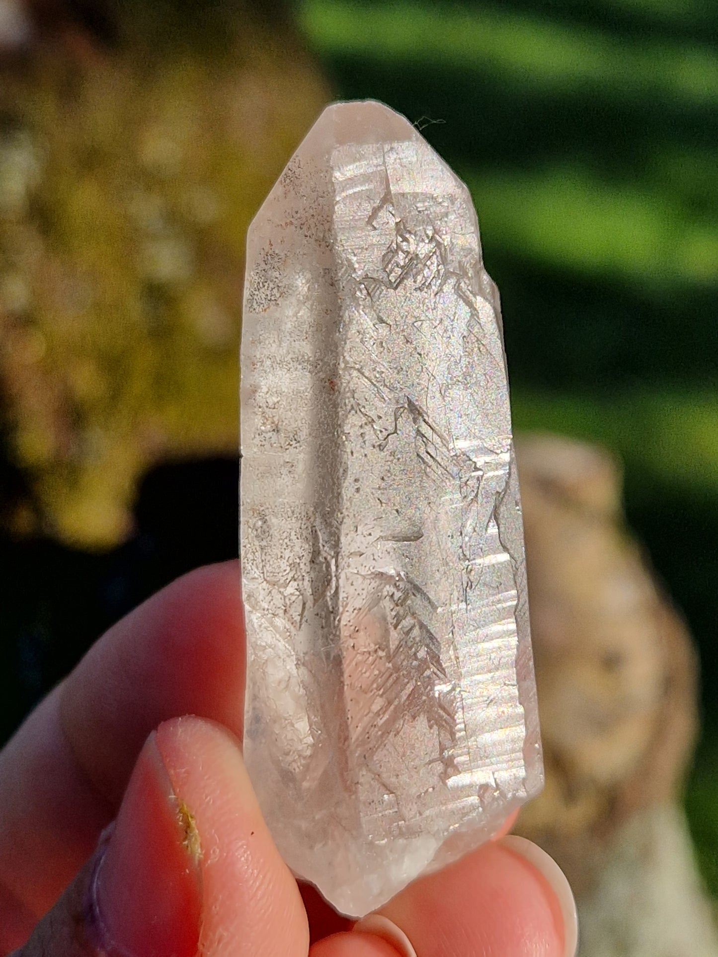 Quartz lémurien brut (à choisir)