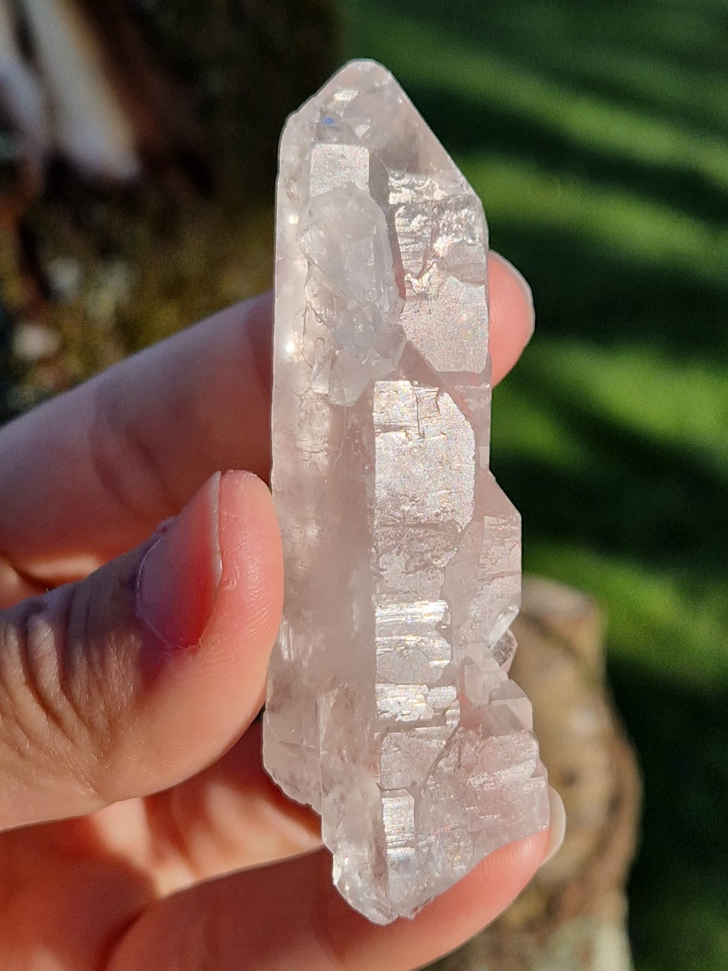 Quartz lémurien brut (à choisir)