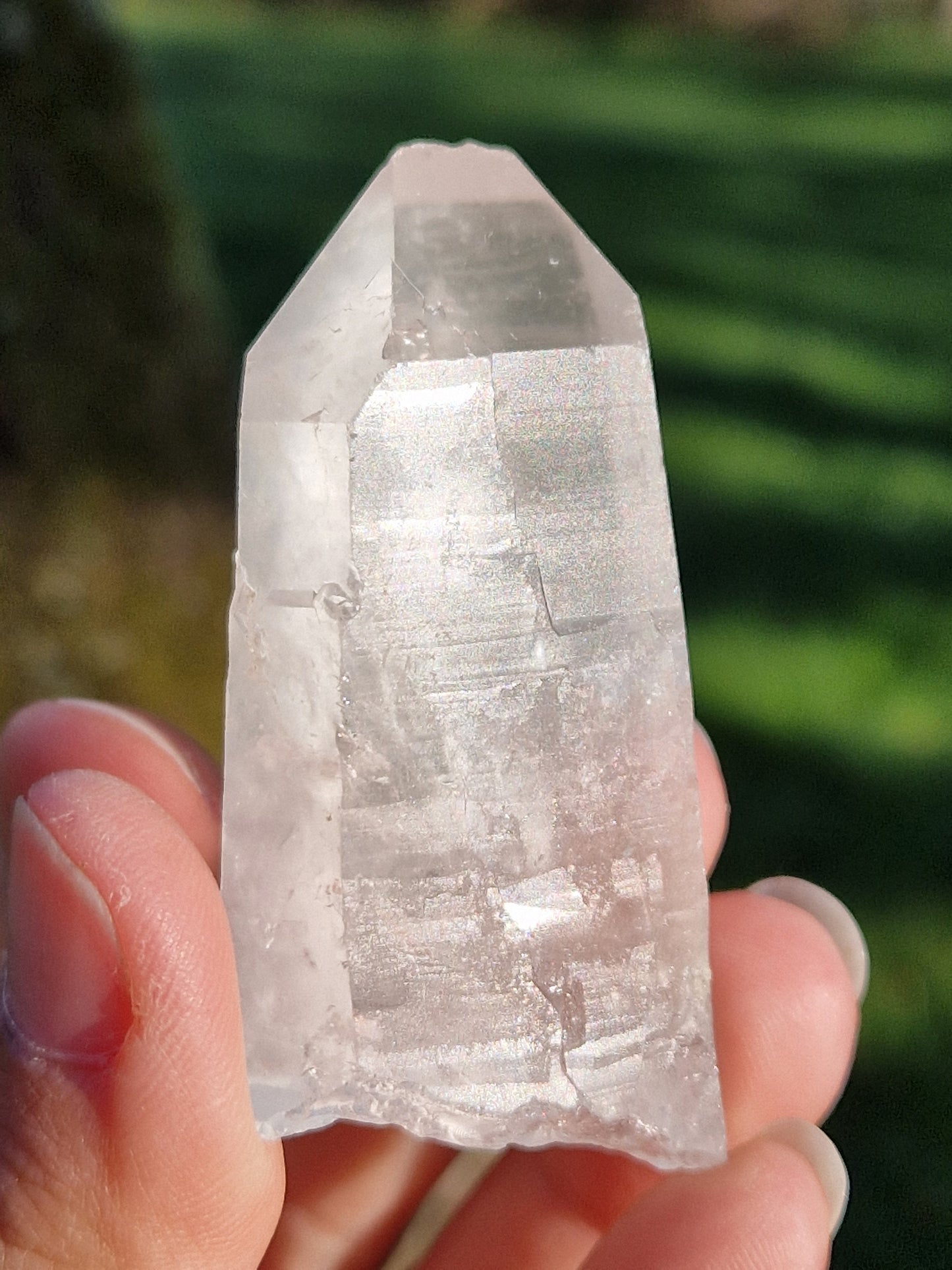 Quartz lémurien brut (à choisir)