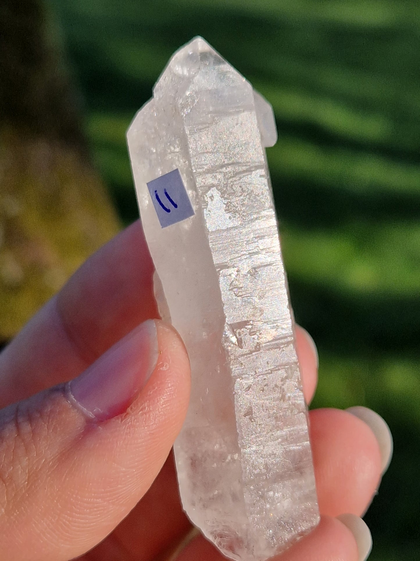 Quartz lémurien brut (à choisir)