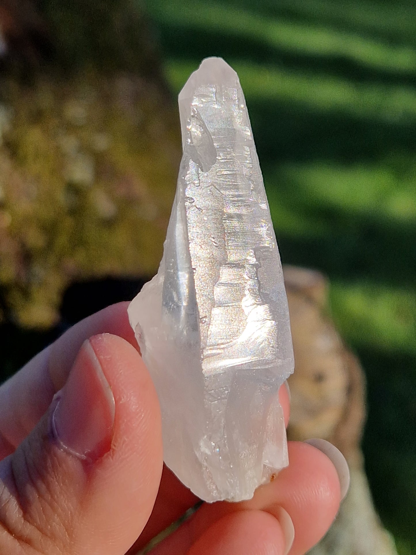 Quartz lémurien brut (à choisir)