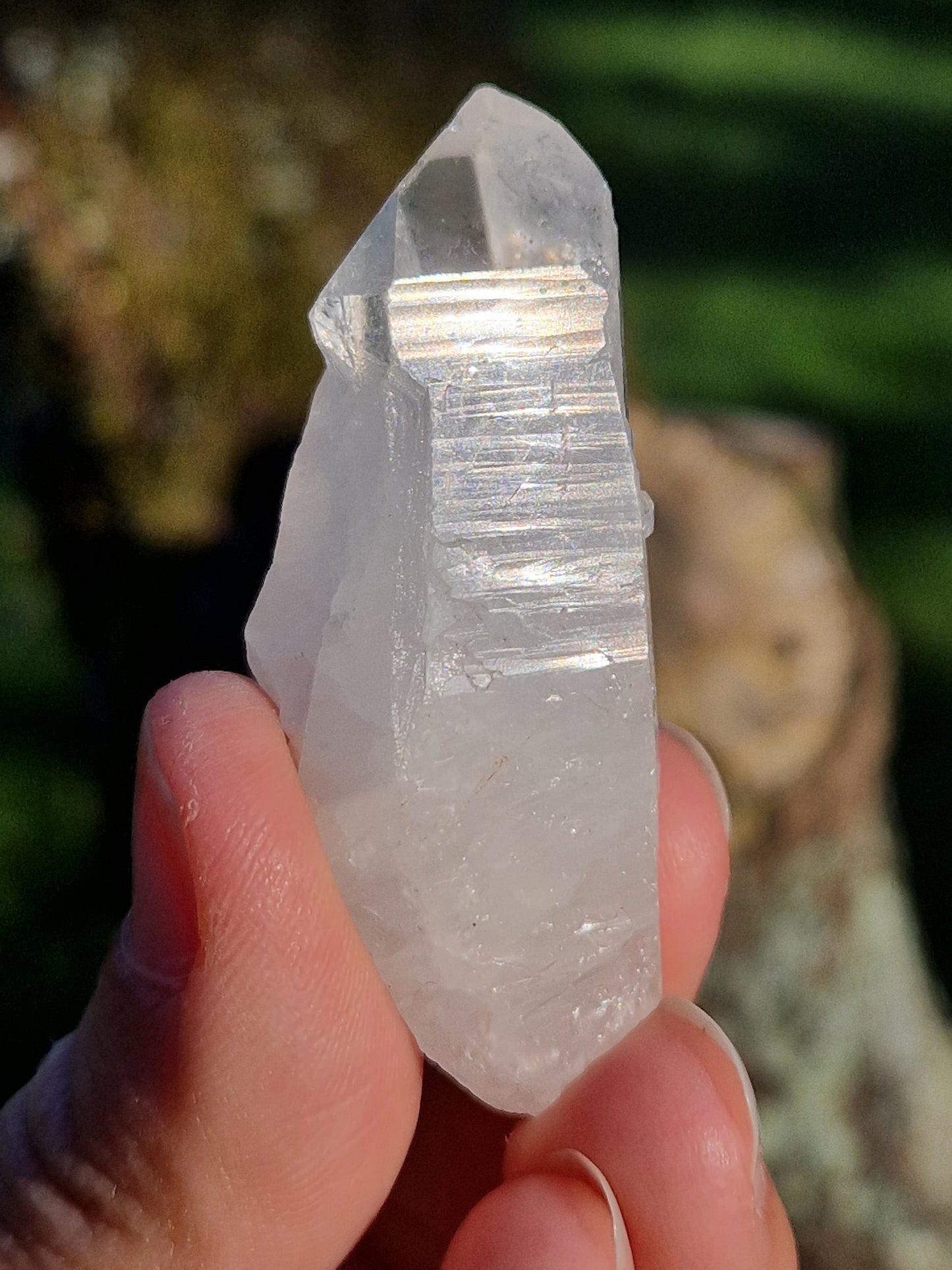 Quartz lémurien brut (à choisir)
