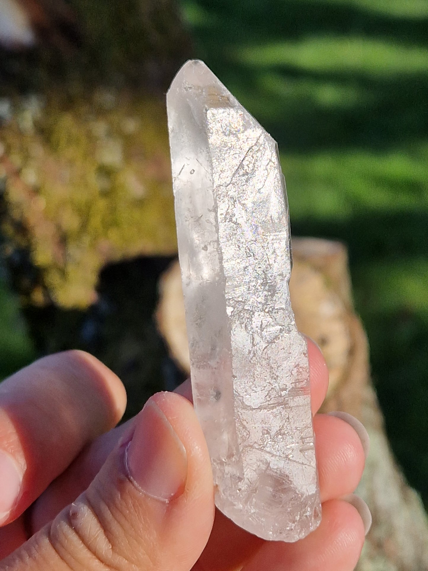 Quartz lémurien brut (à choisir)