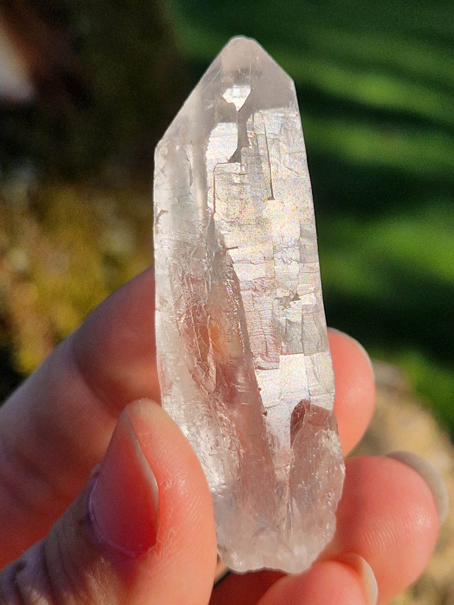 Quartz lémurien brut (à choisir)