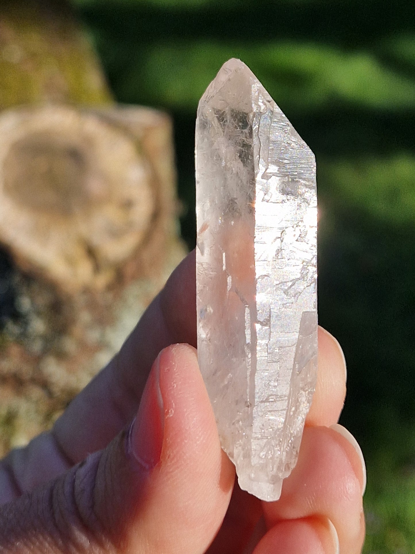 Quartz lémurien brut (à choisir)