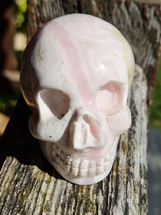 Crâne en Opale rose réactif UV