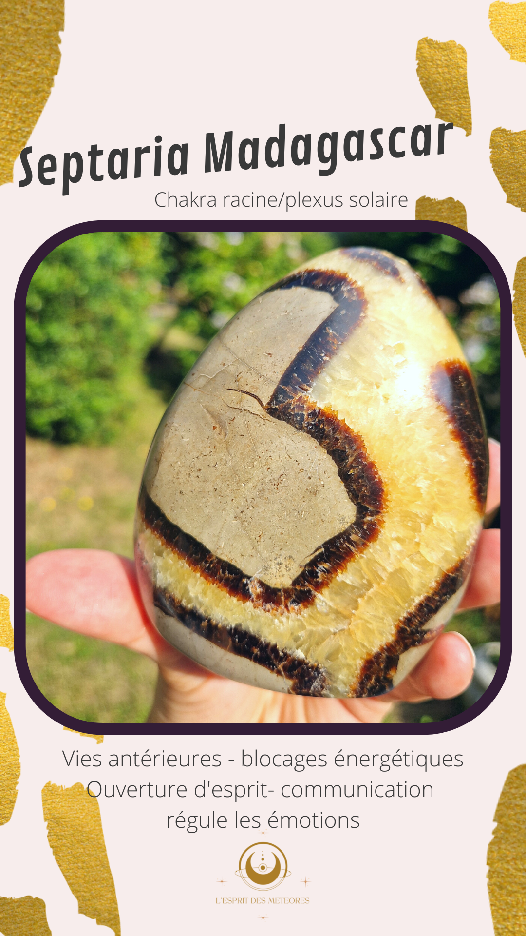 Oeuf de Septaria sauvage