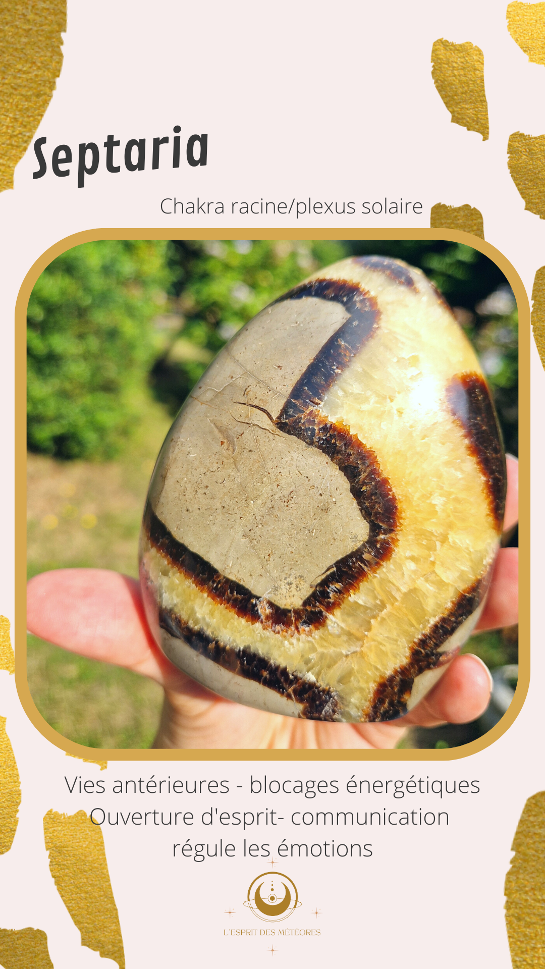 Nodule de Septaria française (à choisir)