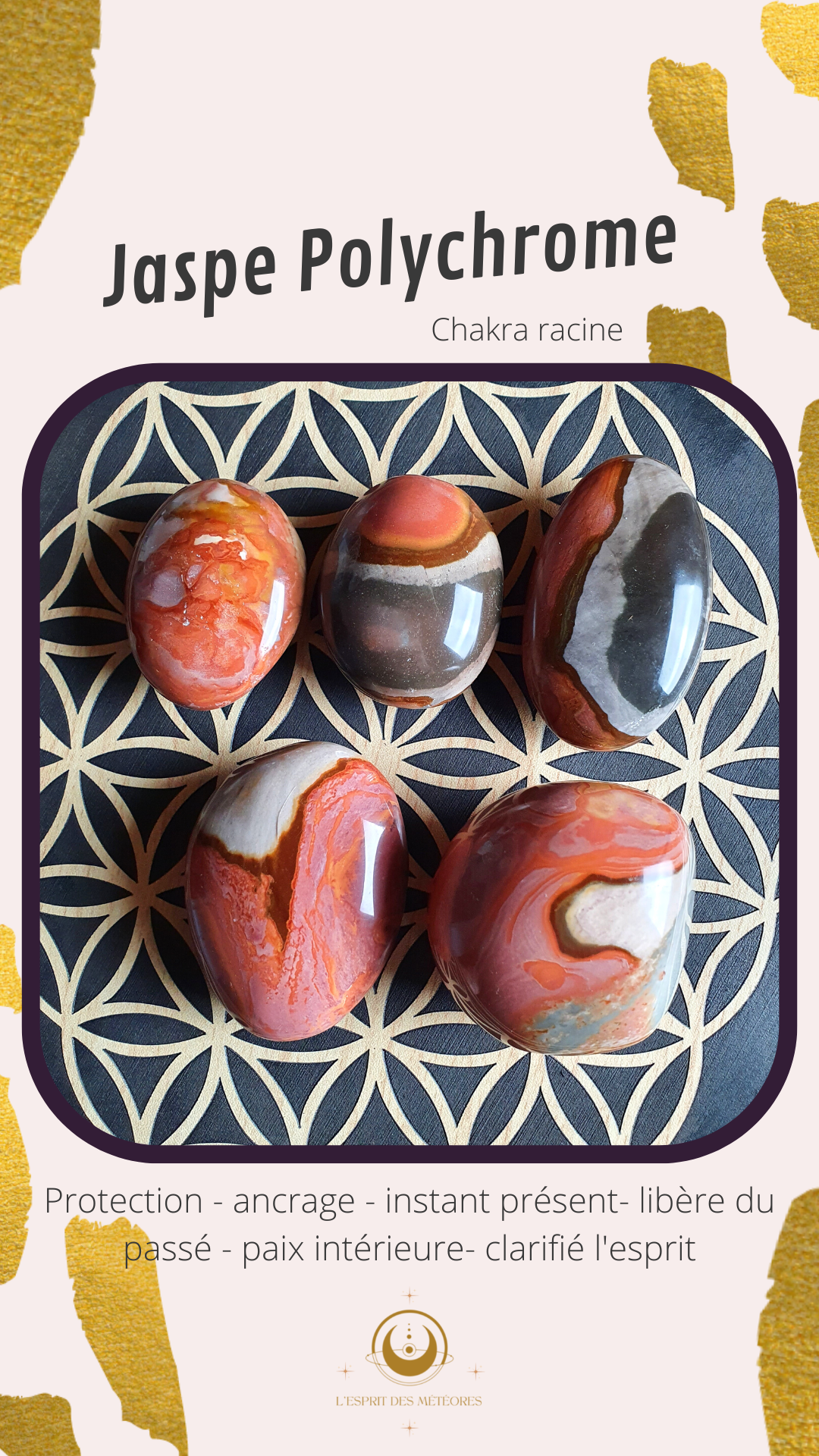 Champignon Jaspe Polychrome