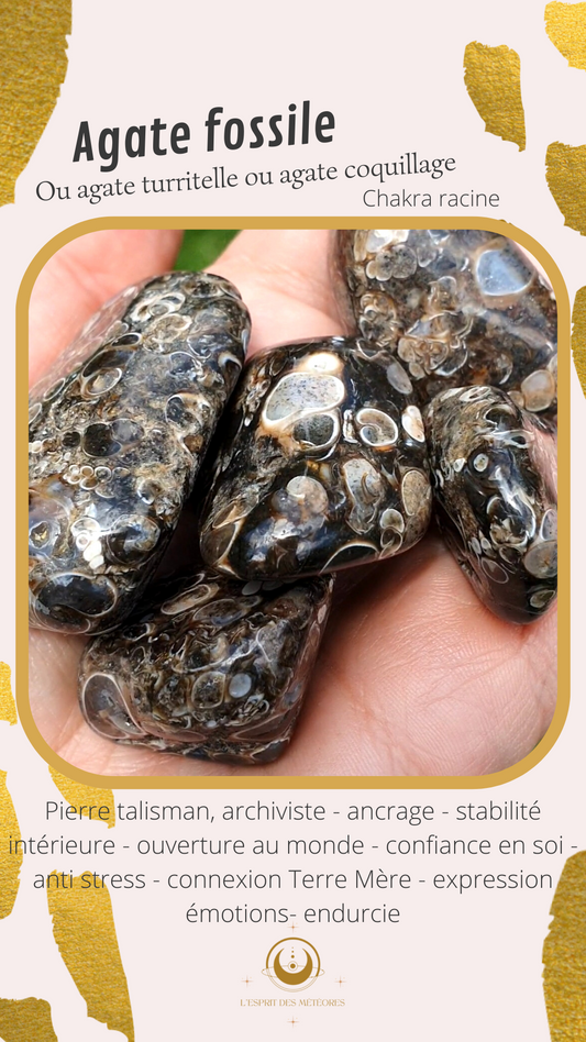 Pierre roulée Agate fossile