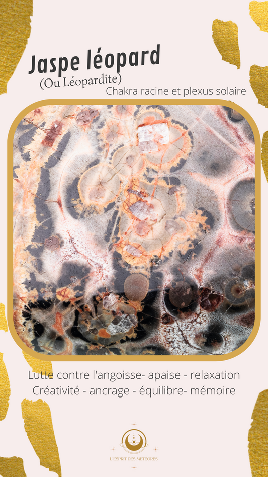 Pierre roulée Jaspe Léopard