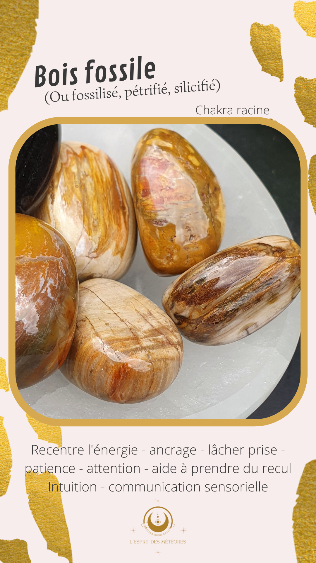 Boucles d'oreilles rondes bois fossile