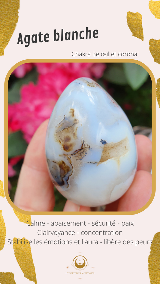 Œuf Agate naturelle (à choisir)