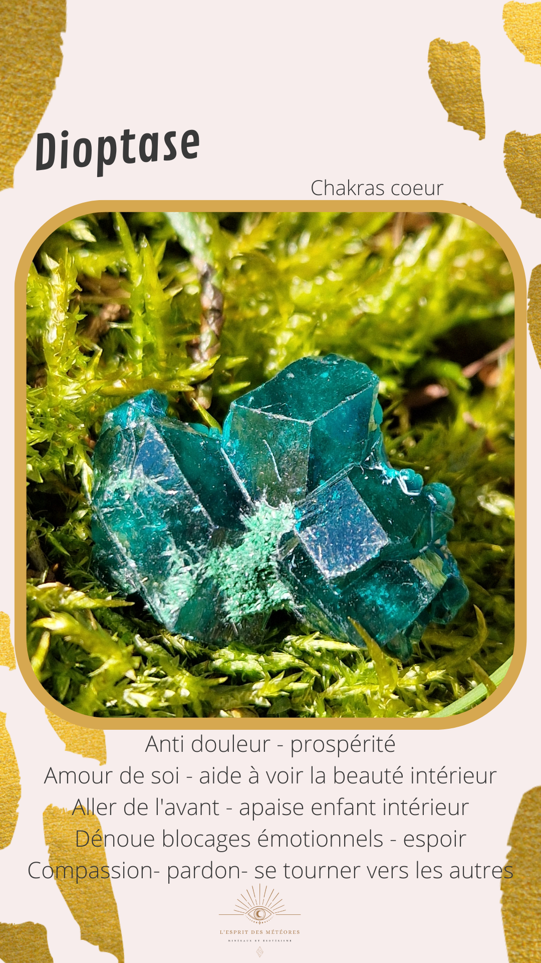 Coffret d'exception Dioptase