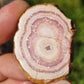 Rhodochrosite stalactite D