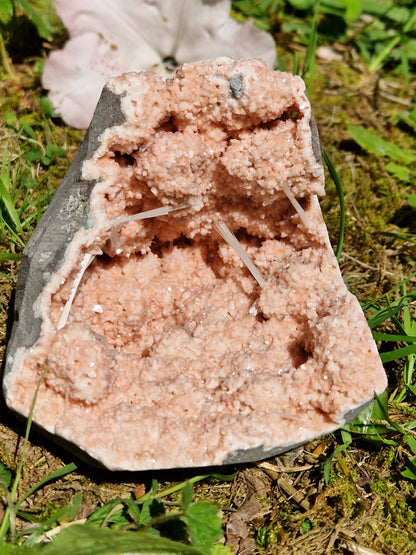 Scolécite sur Heulandite et stilbite n°15