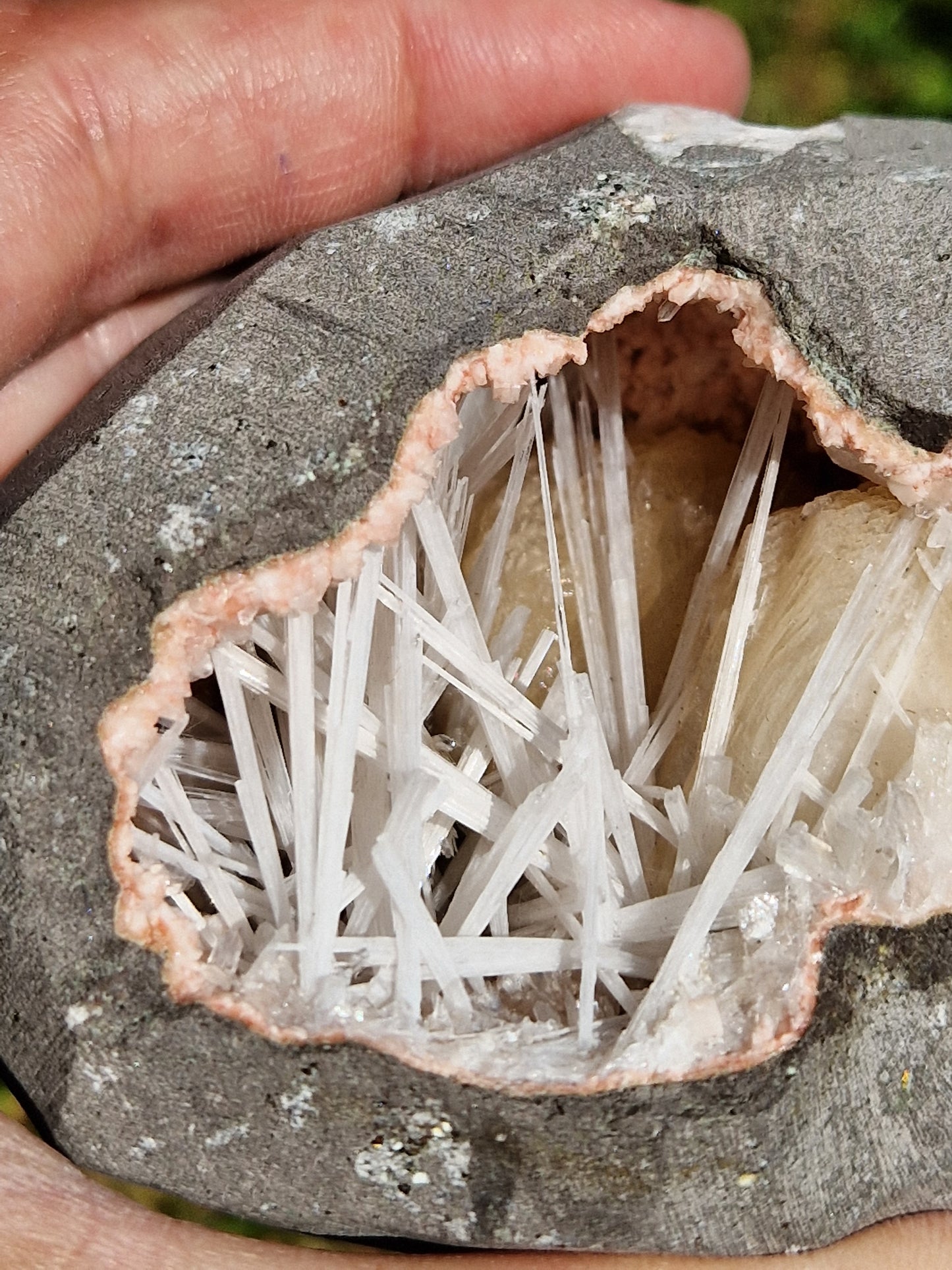 Scolécite sur Heulandite et stilbite n°14