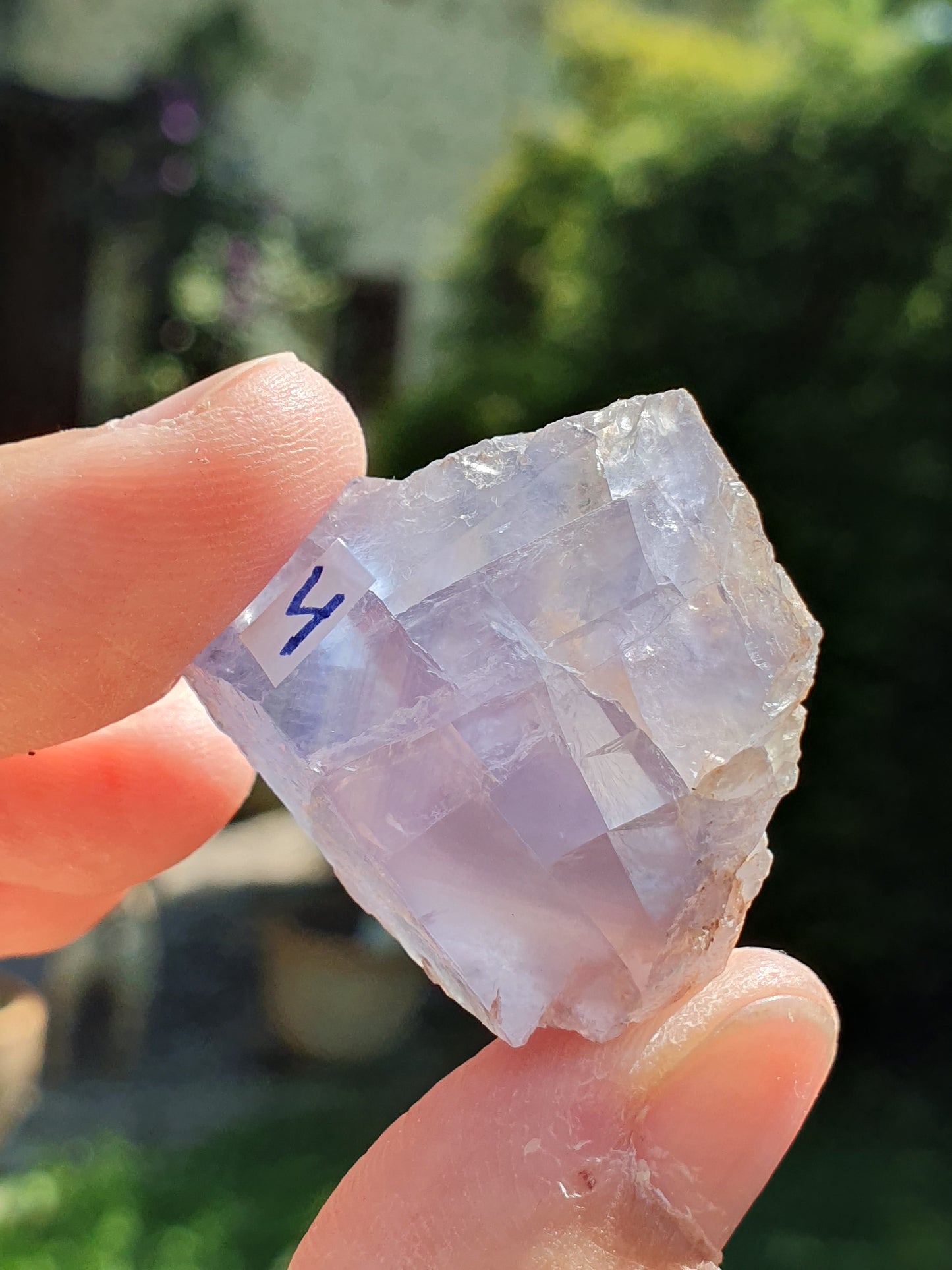 Fluorite bleue française (à choisir)