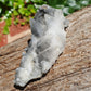 Calcite à inclusions de schiste français F