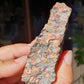 Léopardite brute / Jaspe léopard (à choisir)
