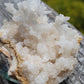Aragonite corollaire française 9