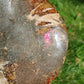Ammonite de Madagascar D