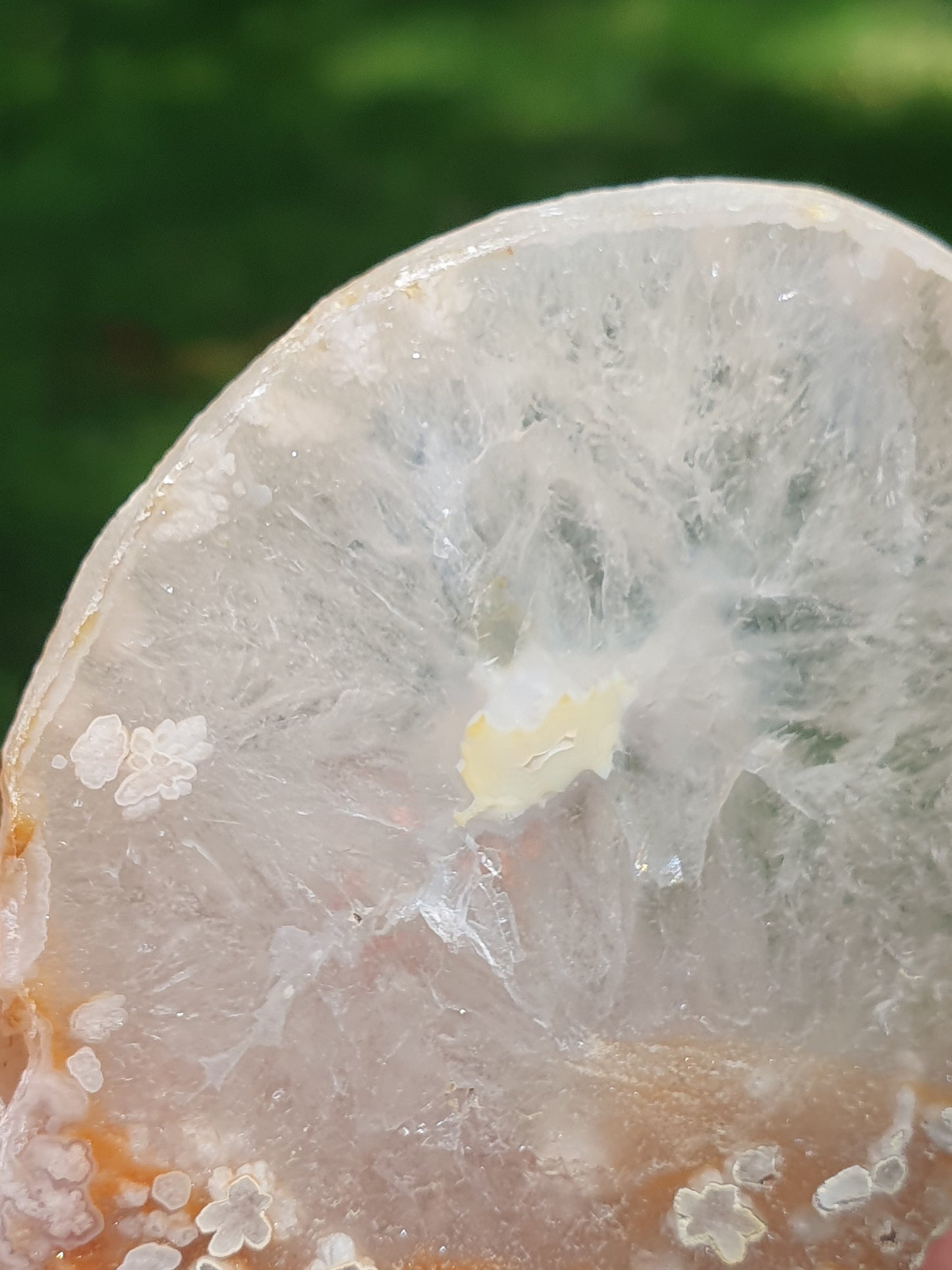 Tranche Agate fleurs n°12