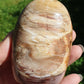Forme libre Bois fossile B4