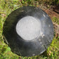 Coupelle Orthoceras