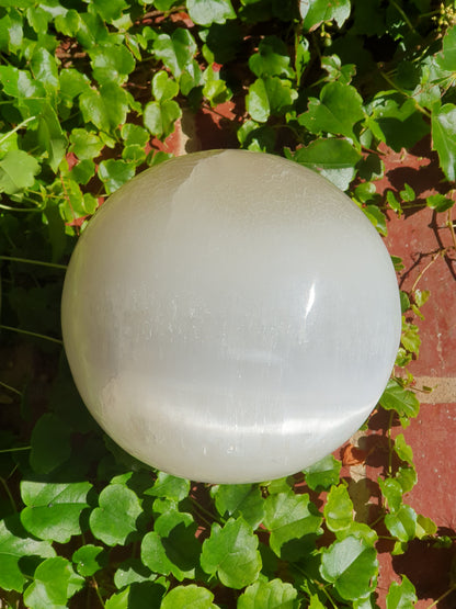 Sphère de Gyspe fibreux (Sélénite) 7,190kg