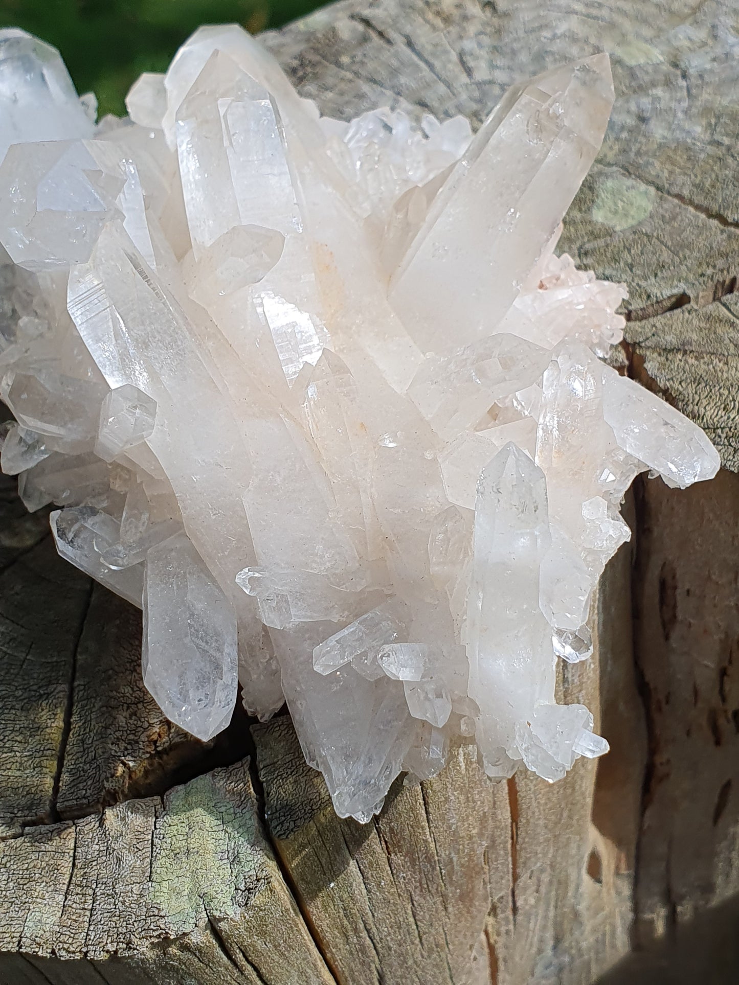 Quartz Himalaya QH22