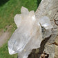 Quartz Himalaya QH18
