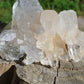 Quartz Himalaya QH18