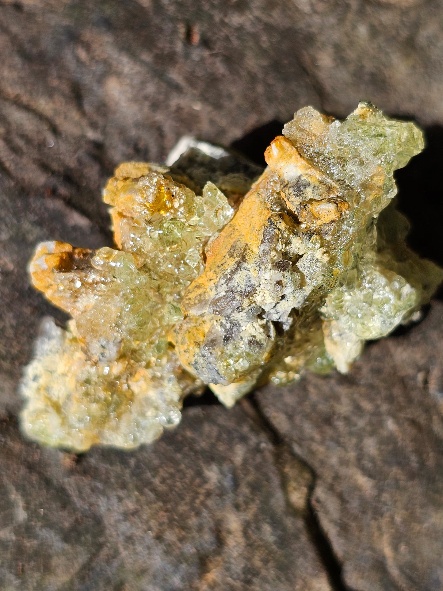 Opale Hyalite (fluorescente)OH2