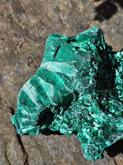 Malachite fibreuse MF7