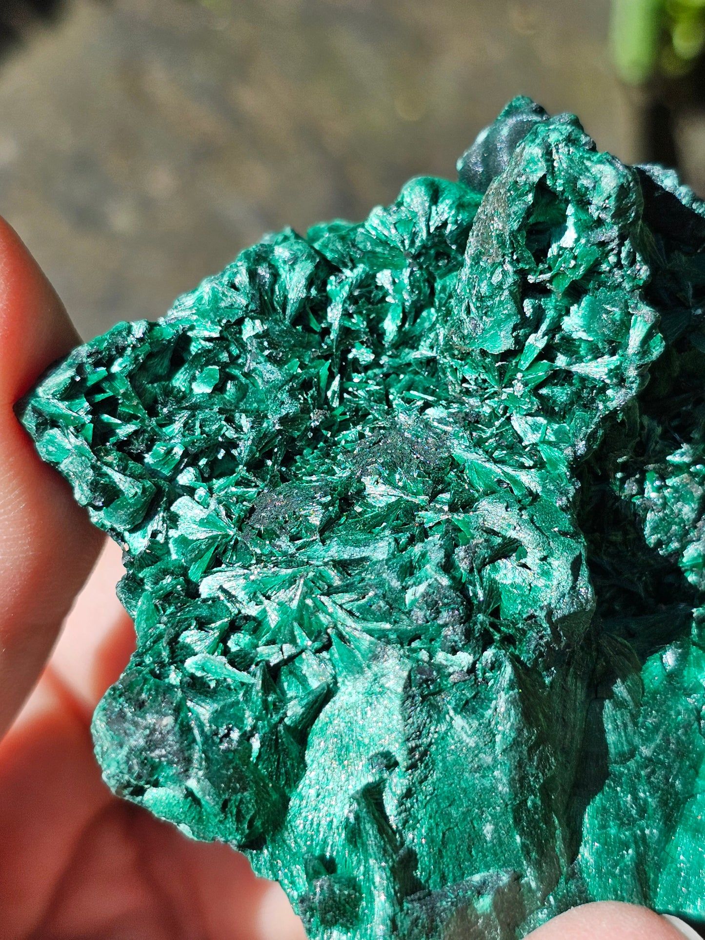 Malachite fibreuse MF7