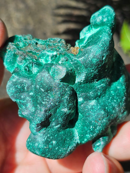 Malachite Velvet M2