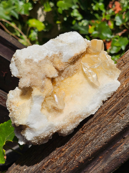 Beau Gyspe sur Aragonite