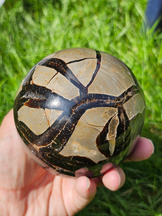 Demi sphère Septaria sauvage A Madagascar