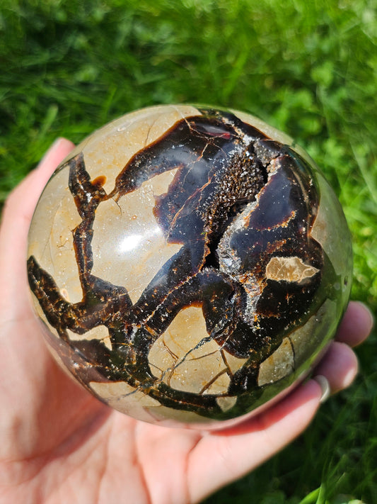 Demi sphère Septaria sauvage B 10cm