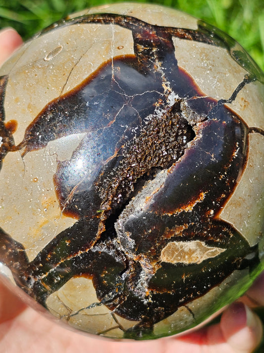 Demi sphère Septaria sauvage B 1269g