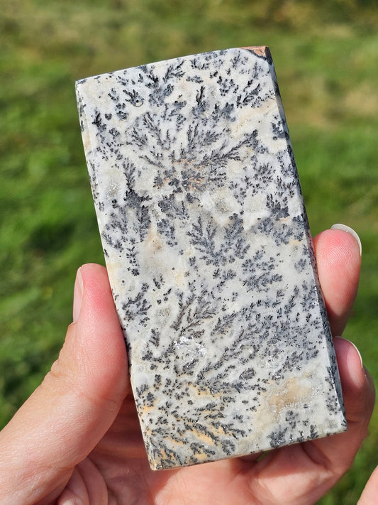 Jaspe et dendrites de manganèse n°5