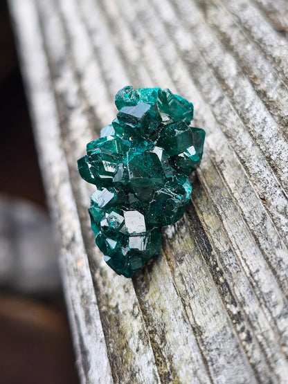 Dioptase cristallisée F