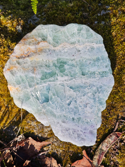 Sublime Tranche polie de Fluorite d'Auvergne