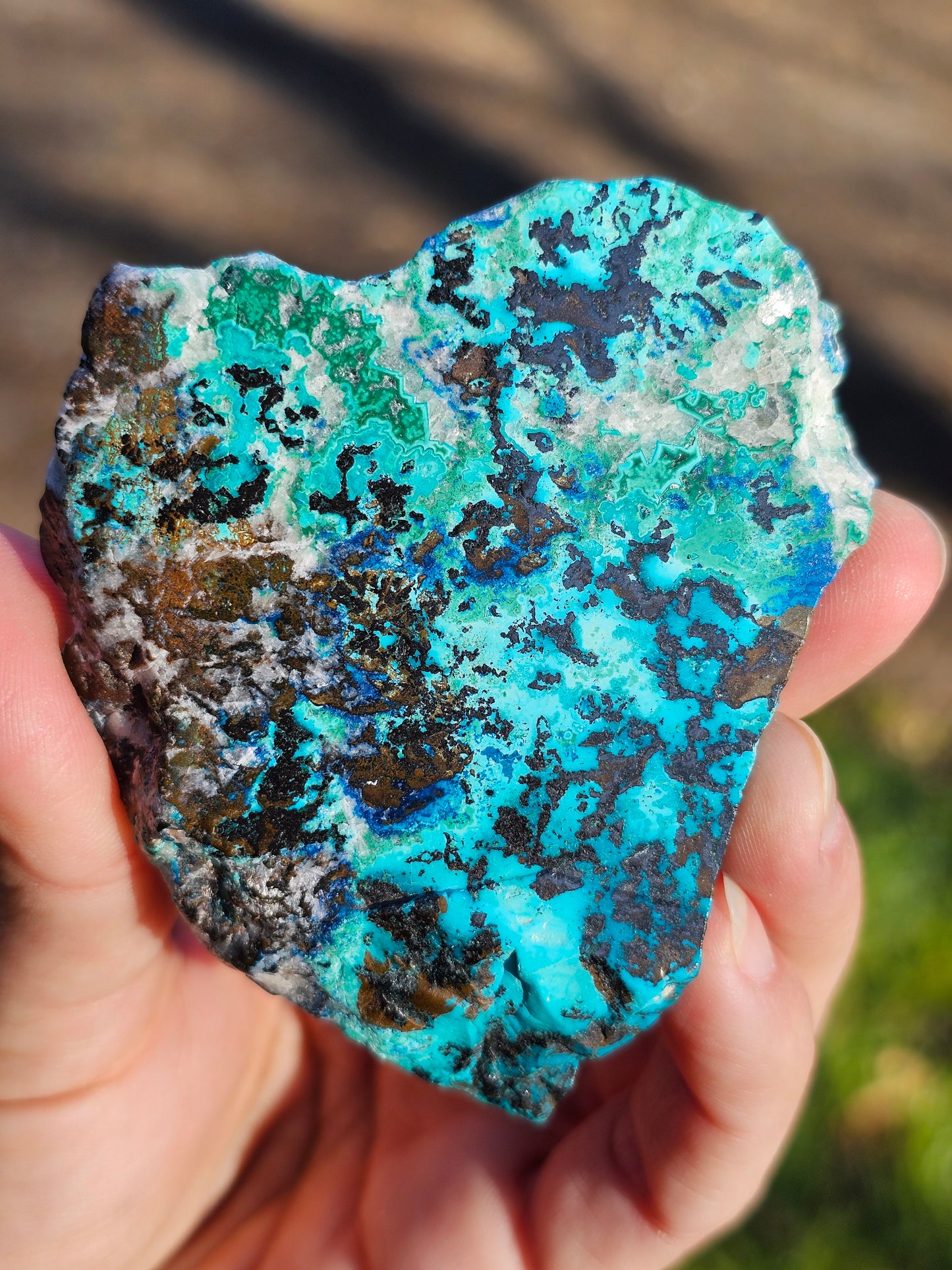 Tranche Chrysocolle, Shattuckite, Malachite, Cuprite, Calcite C