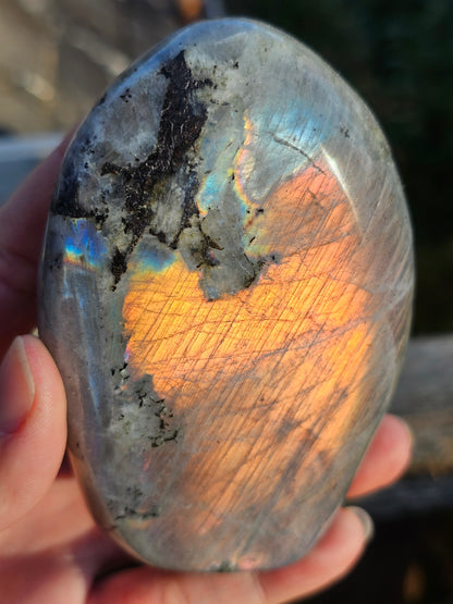 Forme libre Labradorite B