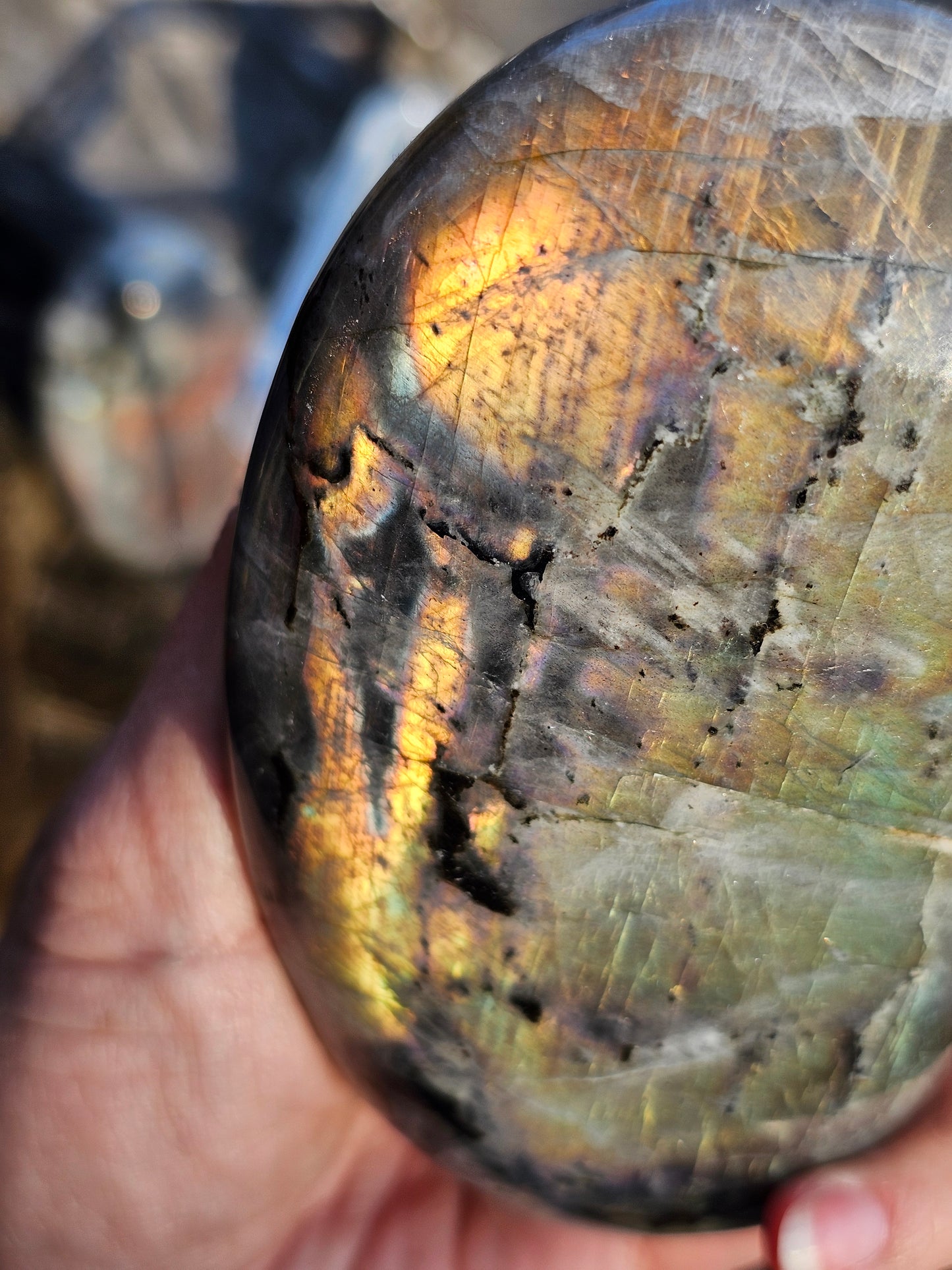 Forme libre Labradorite C